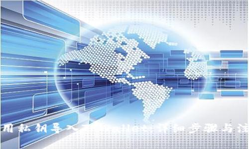 如何使用私钥导入TPWallet：详细步骤与注意事项