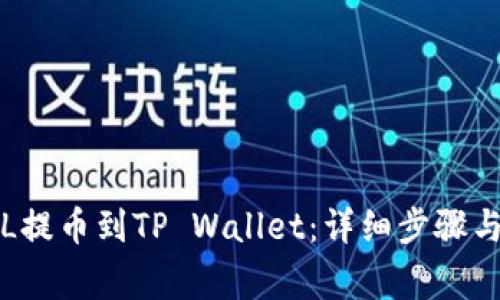 如何将FIL提币到TP Wallet：详细步骤与注意事项