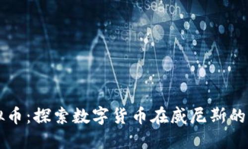 威尼斯虚拟币：探索数字货币在威尼斯的崛起与应用