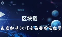 什么是虚拟币SCT？全面解
