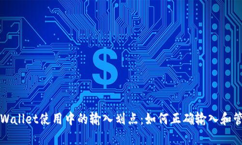 全面解析tpWallet使用中的输入划点：如何正确输入和管理数字资产