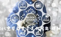 如何解决tpWallet宽带能量不