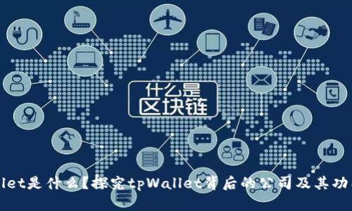 tpWallet是什么？探究tpWallet背后的公司及其功能特点