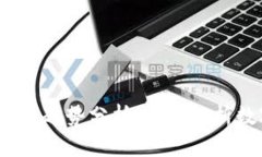 2023年虚拟币样式与趋势分