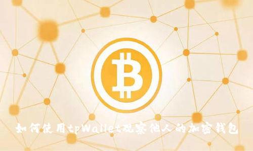 如何使用tpWallet观察他人的加密钱包