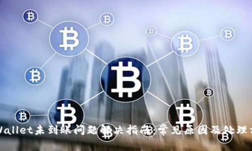 tpWallet未到账问题解决指南：常见原因及处理方法