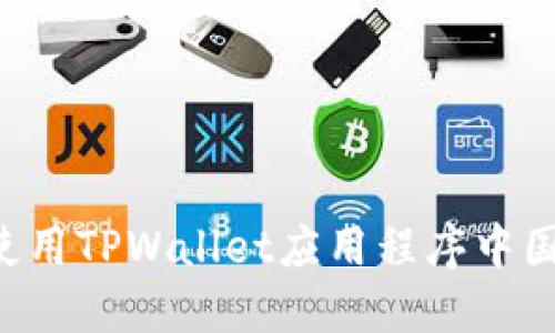 如何下载与使用TPWallet应用程序中国版：全面指南