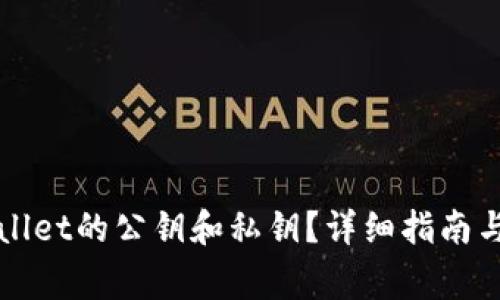 如何查看tpWallet的公钥和私钥？详细指南与常见问题解答