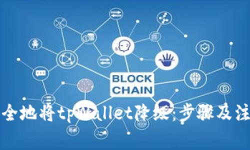 如何安全地将tpWallet降级：步骤及注意事项