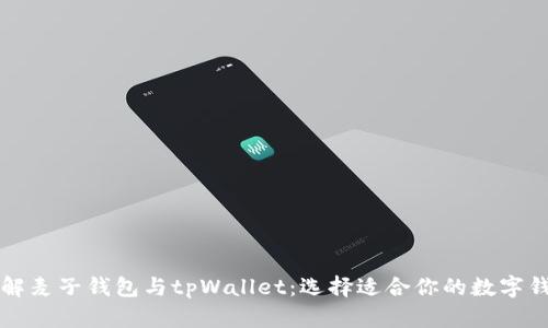 详解麦子钱包与tpWallet：选择适合你的数字钱包