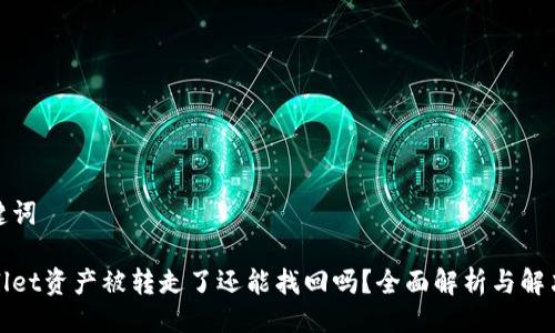 与关键词

tpWallet资产被转走了还能找回吗？全面解析与解决方案