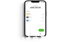 如何在tpWallet中购买DOP币：