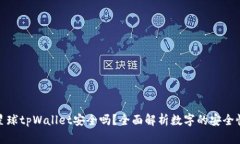 下载派星球tpWallet安全吗？